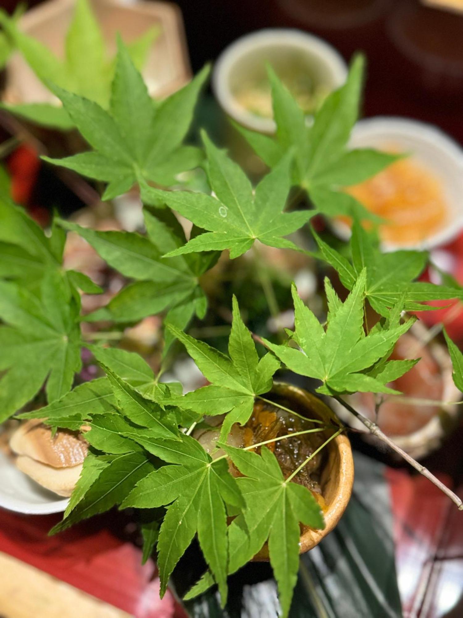 橼舍隐清水寺别墅 京都 外观 照片